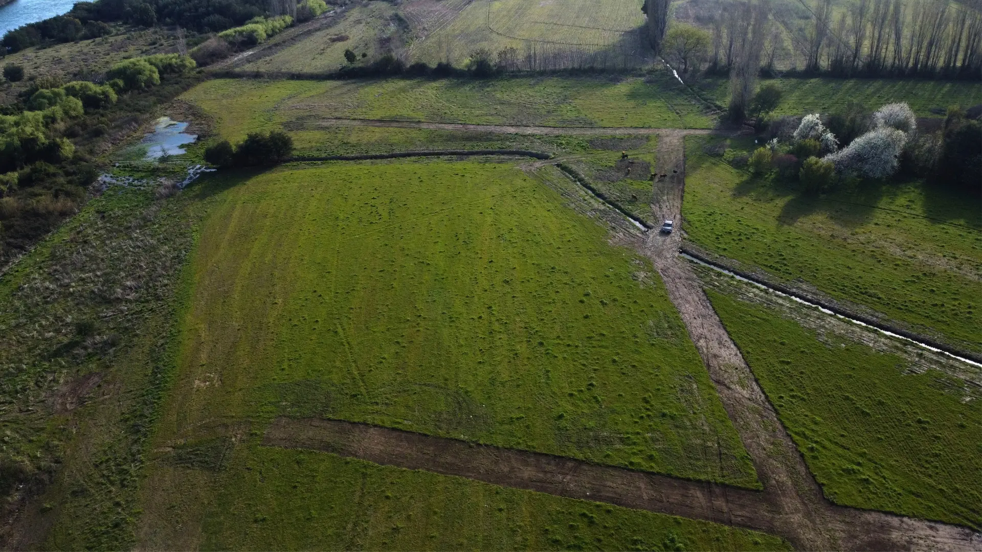 Vista aérea de caminos interiores y parcelas verdes