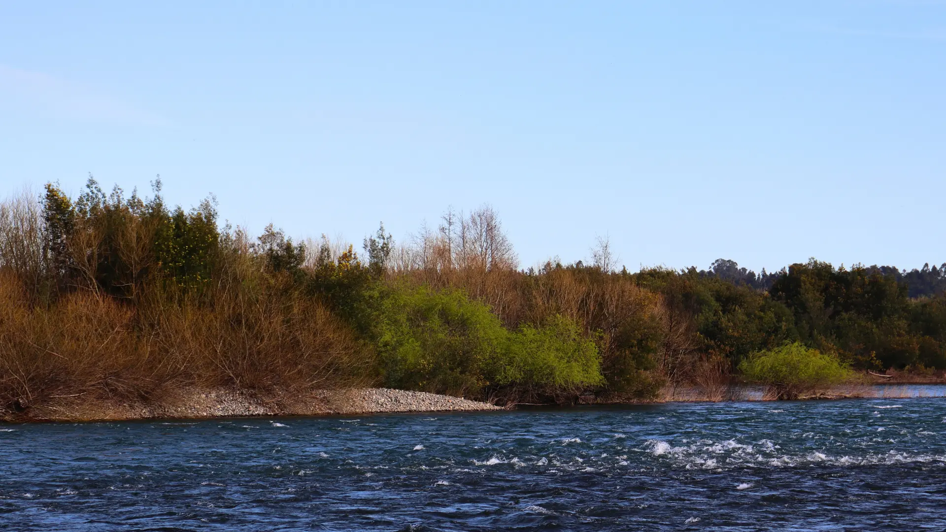 Río Biobío y vegetación del entorno de Valle de Mañil